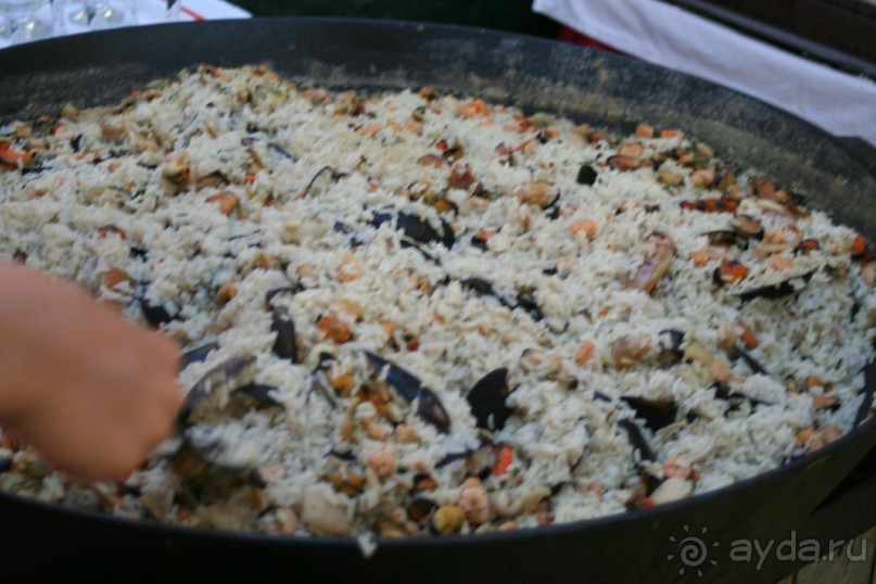 Отель в бору