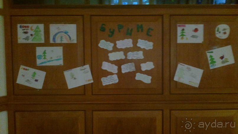 Отель в бору