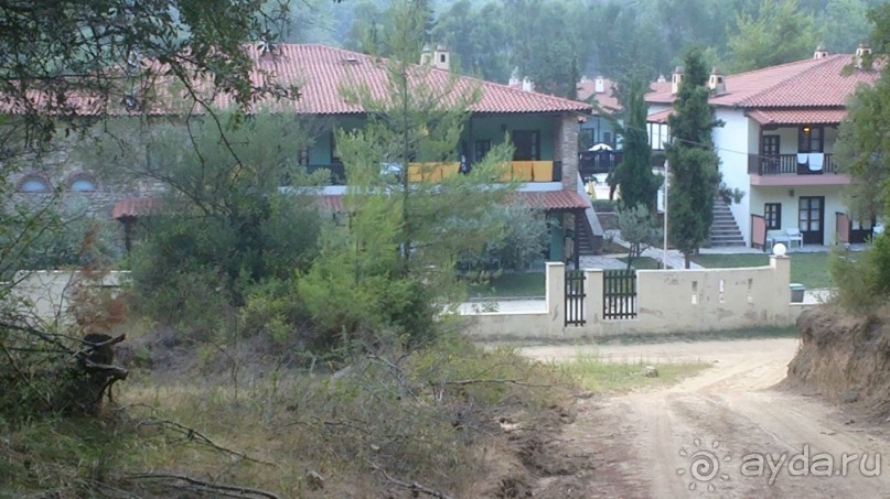 Отель в бору