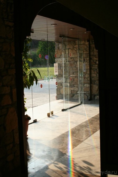 Отель в бору