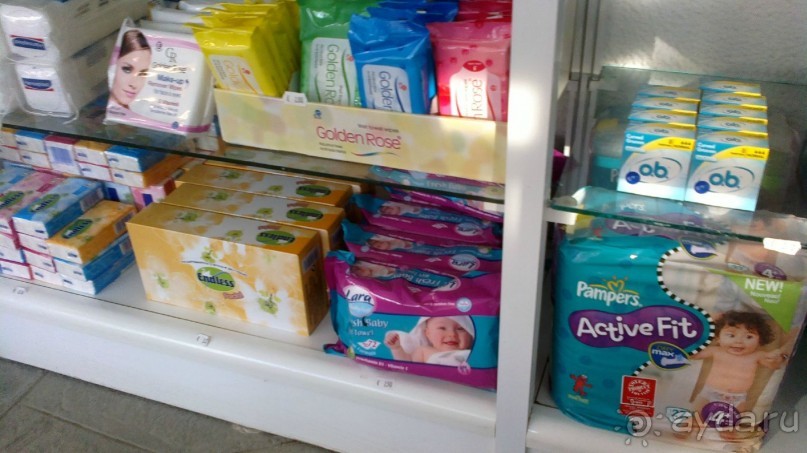 Отель в бору