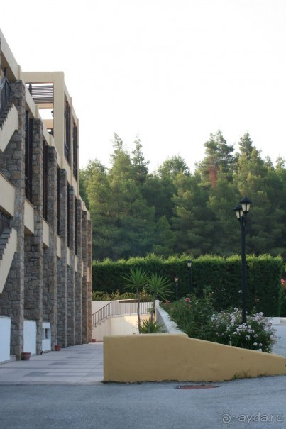 Отель в бору