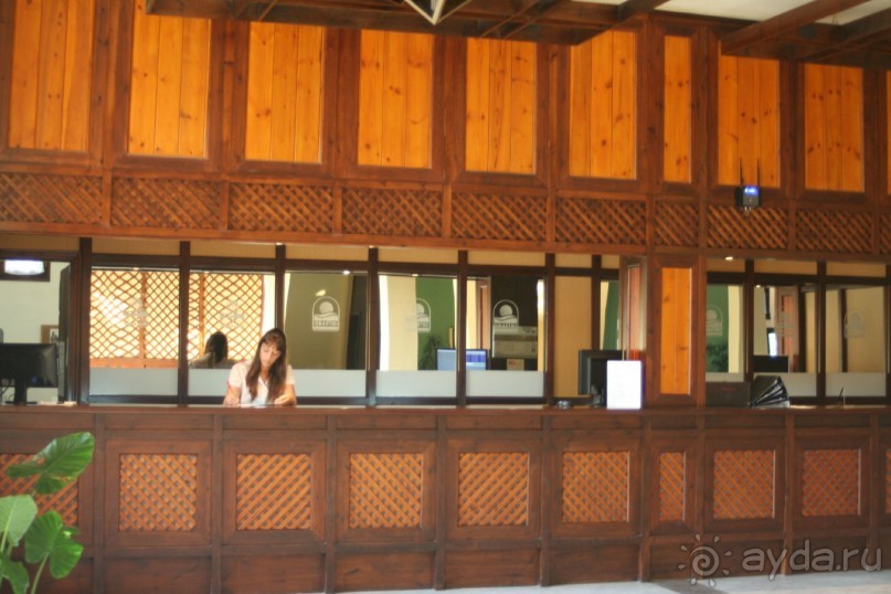 Отель в бору