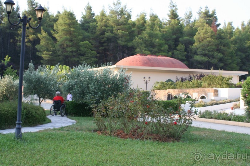 Отель в бору