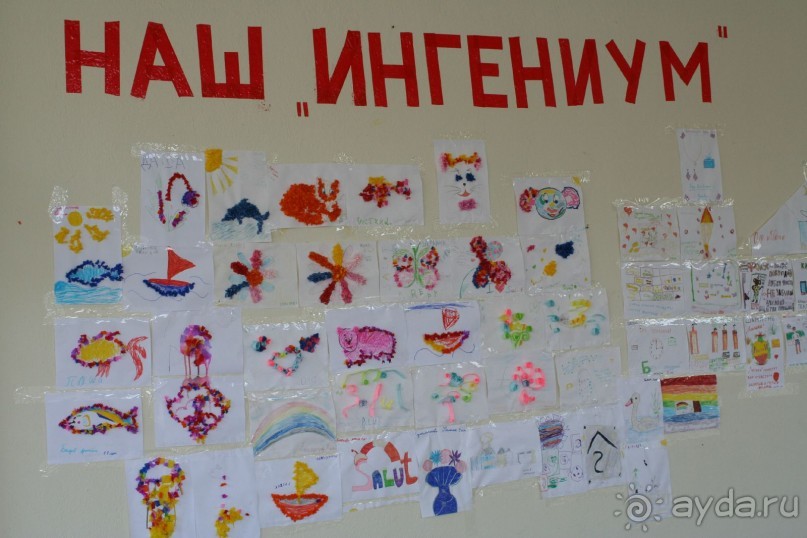 Отель в бору