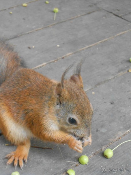 На детскую площадку... На детскую площадку...