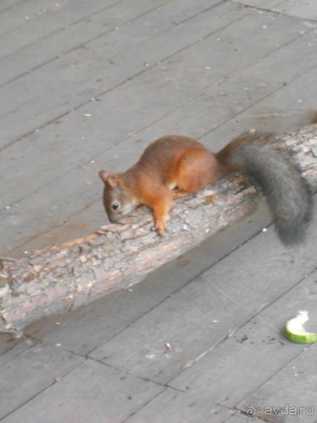 На детскую площадку... На детскую площадку...