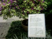 Ботанический сад им. Бергиуса