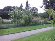 Ботанический сад им. Бергиуса