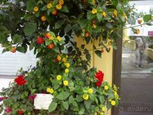 Ботанический сад им. Бергиуса