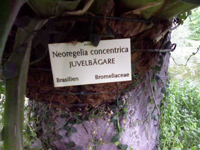 Ботанический сад им. Бергиуса