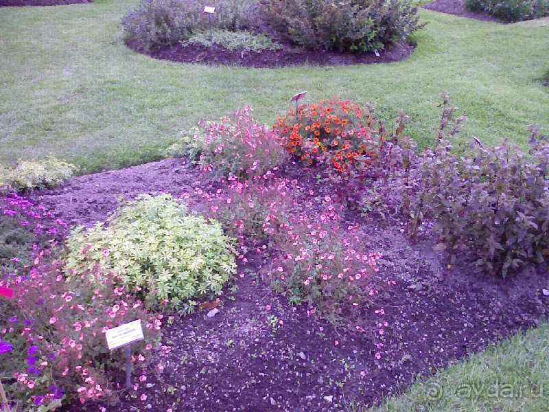 Ботанический сад им. Бергиуса