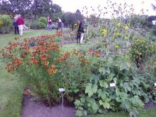 Ботанический сад им. Бергиуса