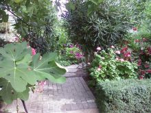 Ботанический сад им. Бергиуса