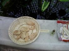 Ботанический сад им. Бергиуса