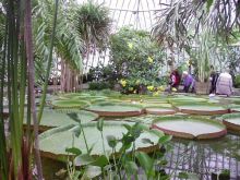 Ботанический сад им. Бергиуса