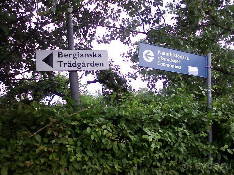 Ботанический сад им. Бергиуса