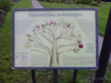 Ботанический сад им. Бергиуса