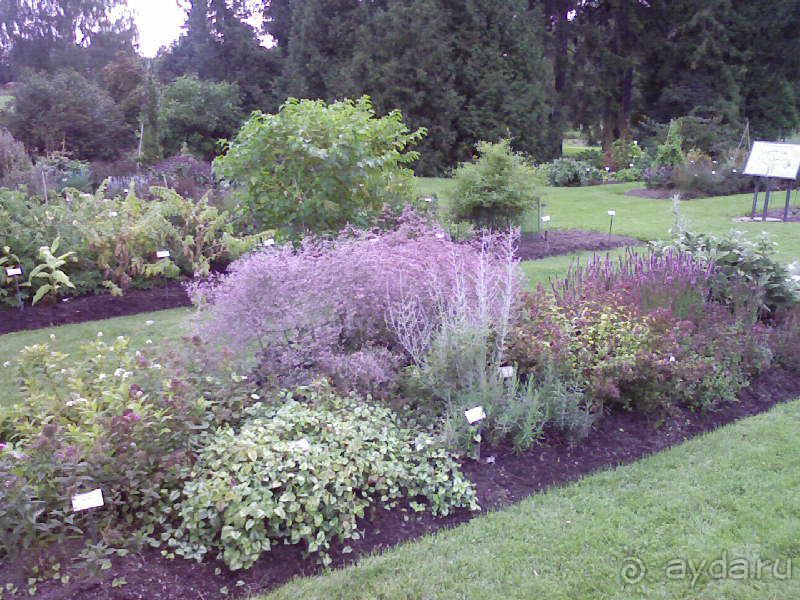 Ботанический сад им. Бергиуса