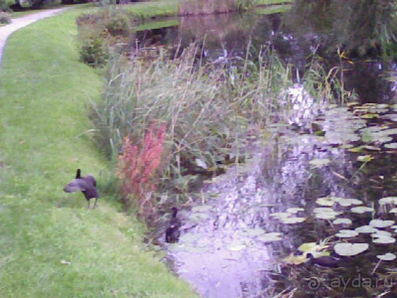 Ботанический сад им. Бергиуса