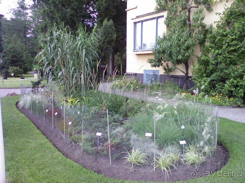 Ботанический сад им. Бергиуса