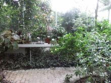 Ботанический сад им. Бергиуса