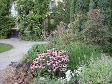 Ботанический сад им. Бергиуса