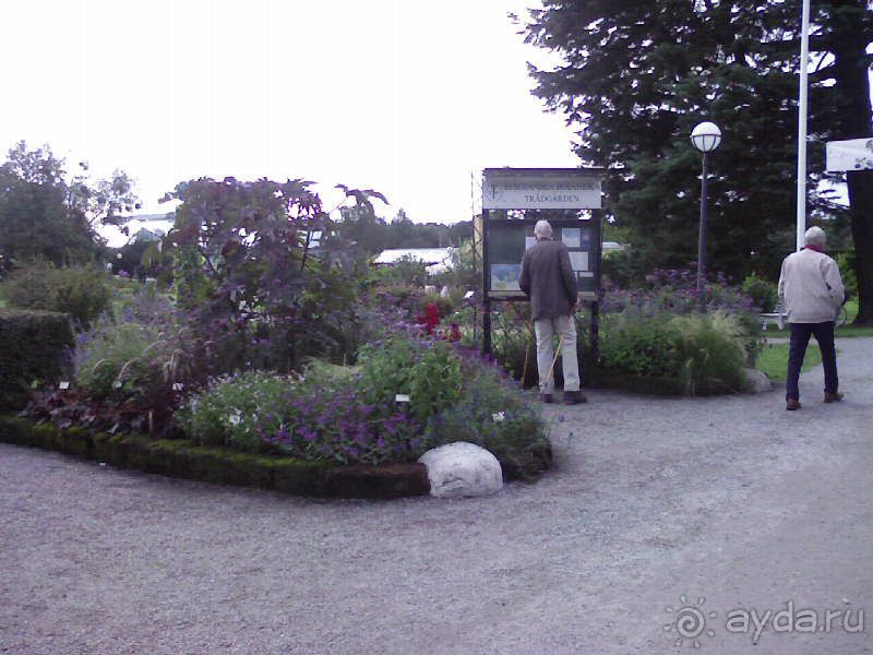 Ботанический сад им. Бергиуса