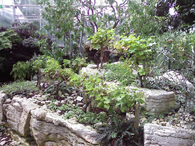 Ботанический сад им. Бергиуса