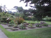 Ботанический сад им. Бергиуса