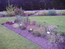 Ботанический сад им. Бергиуса