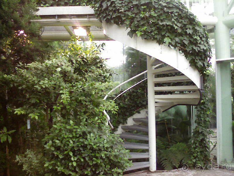 Ботанический сад им. Бергиуса