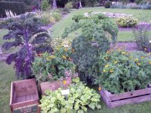 Ботанический сад им. Бергиуса