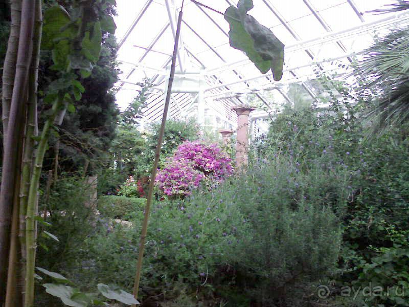 Ботанический сад им. Бергиуса