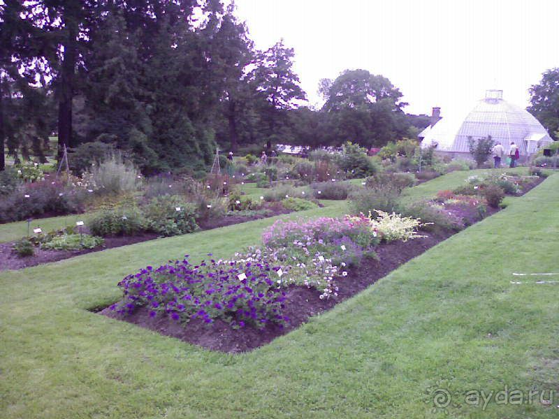 Ботанический сад им. Бергиуса