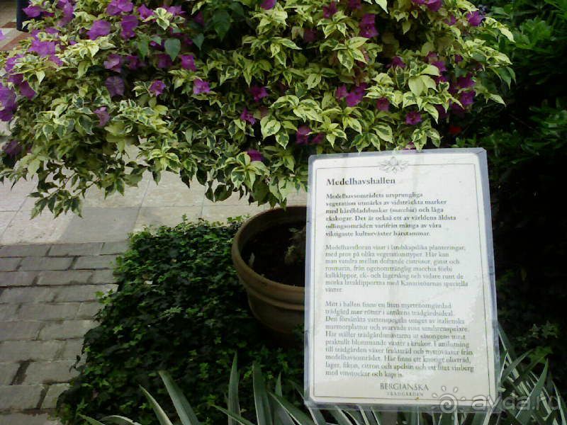 Ботанический сад им. Бергиуса