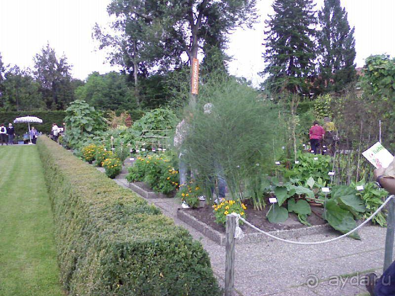 Ботанический сад им. Бергиуса