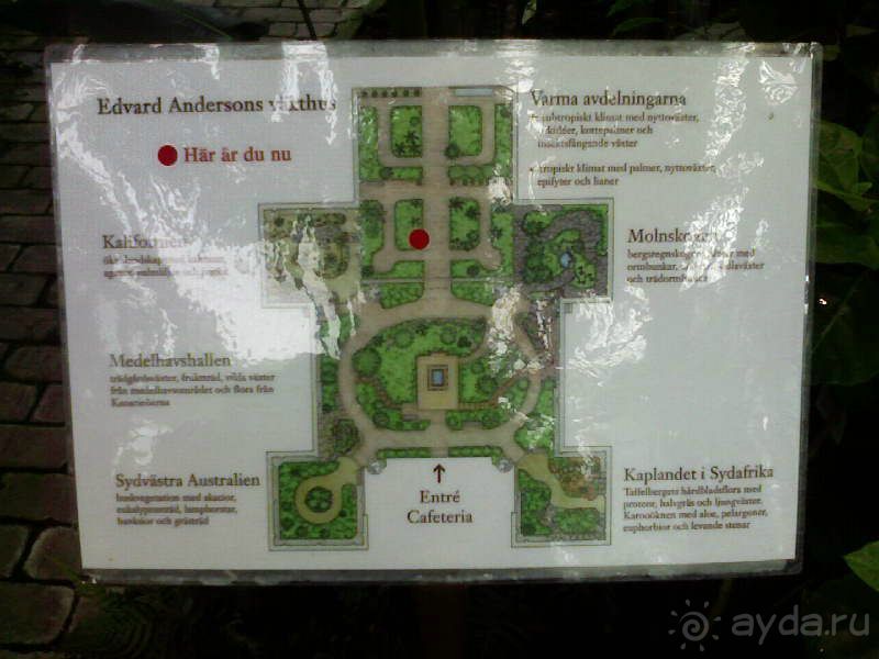 Ботанический сад им. Бергиуса