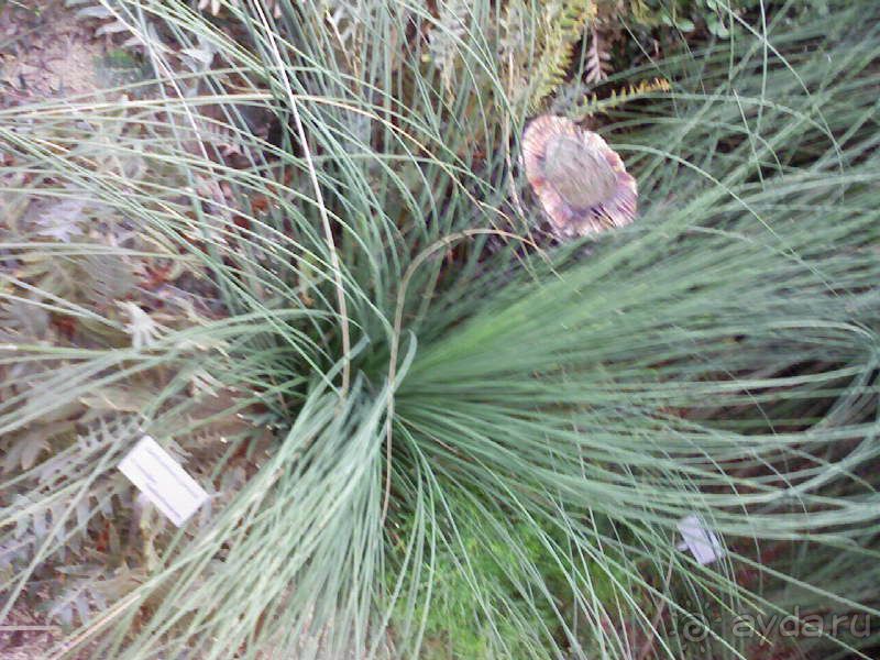 Ботанический сад им. Бергиуса