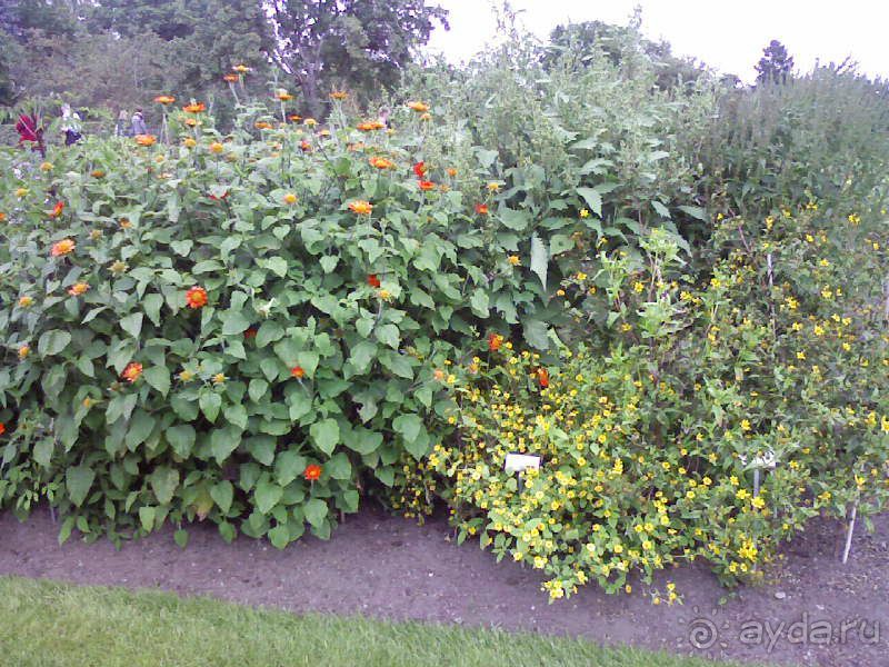 Ботанический сад им. Бергиуса