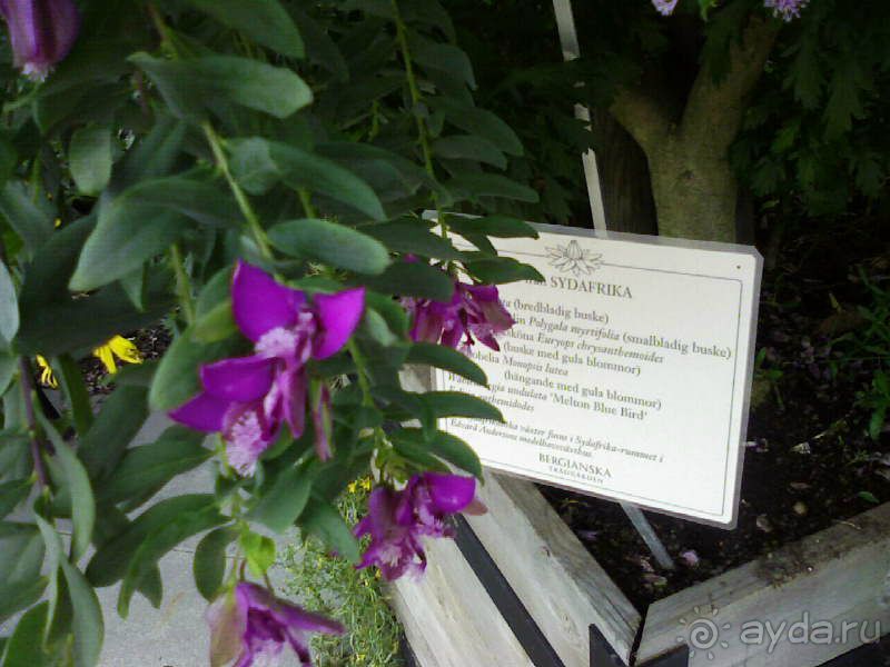 Ботанический сад им. Бергиуса