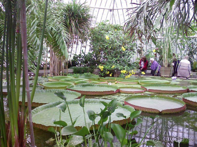 Ботанический сад им. Бергиуса