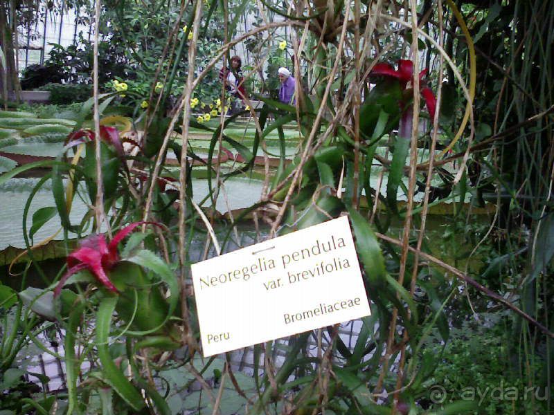 Ботанический сад им. Бергиуса