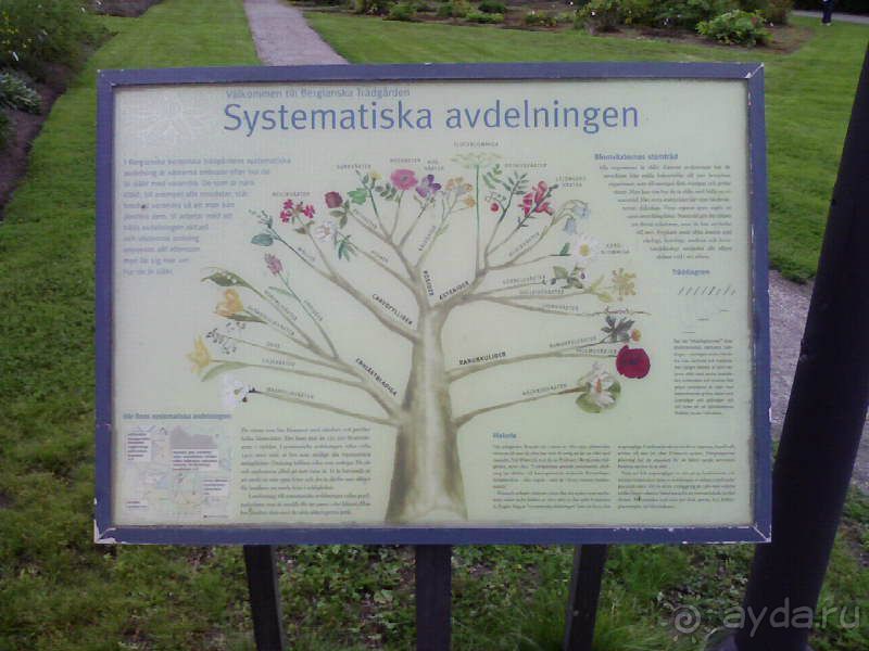 Ботанический сад им. Бергиуса