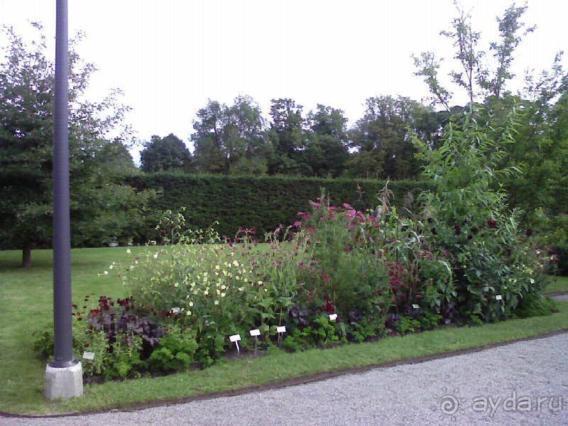 Ботанический сад им. Бергиуса