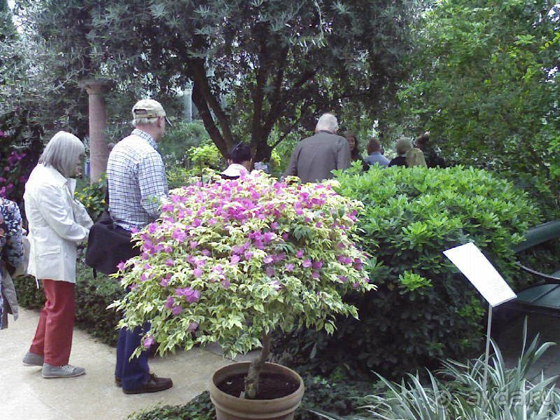 Ботанический сад им. Бергиуса