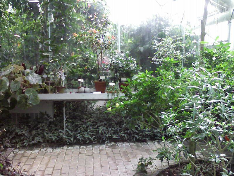 Ботанический сад им. Бергиуса