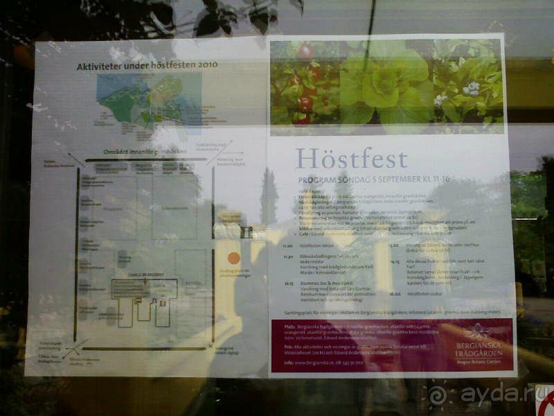 Ботанический сад им. Бергиуса