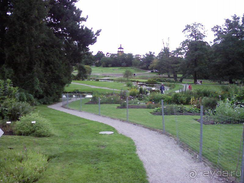 Ботанический сад им. Бергиуса