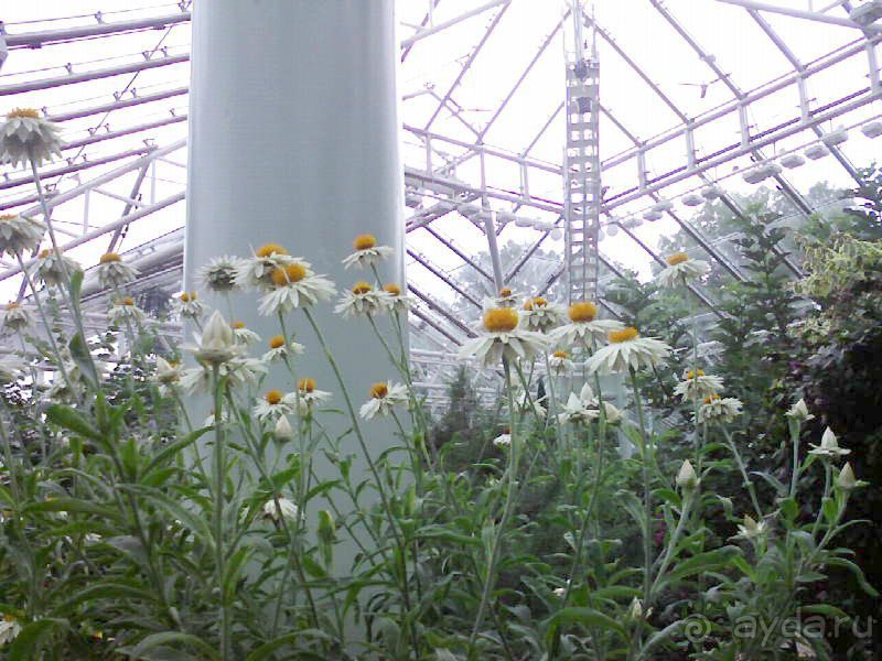 Ботанический сад им. Бергиуса